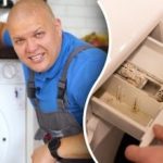 Jak vyčistit pračku od plísní a zápachu: tipy odborníka, jak