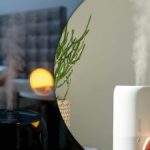 Odborníci jmenovali 5 nečekaných míst, kam byste neměli dávat zvlhčovač