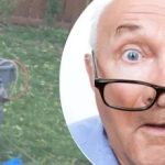 Podivný nález u stromu souseda zmátl: jaké tajemství skrývá.