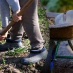 Výsevní kalendář na září 2025: co dělat na zahradě a